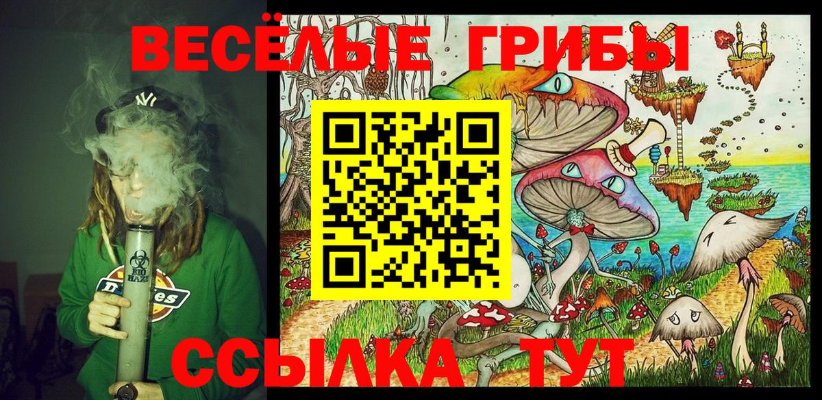 купить наркотик  Галлюциногенные грибы MAGIC MUSHROOMS  Вход с VPN  Воскресенск 